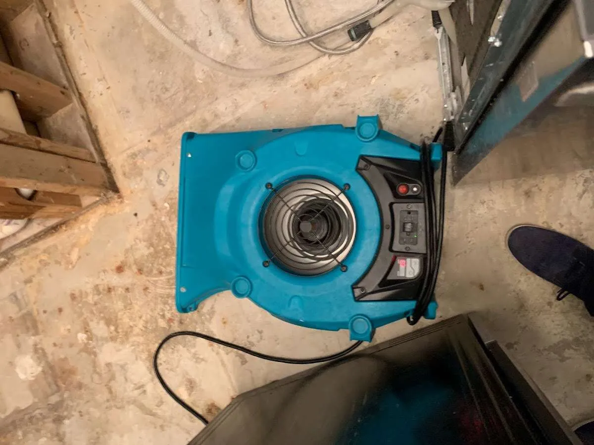 Air mover drying equipment for Mold Remediation & Removal in Hampden